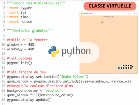 Stage classe virtuelle Python Snake