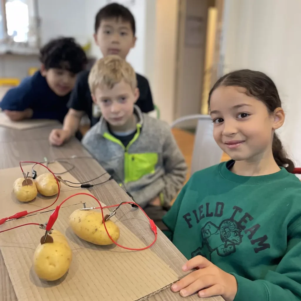 Atelier électronique -Expérience patates