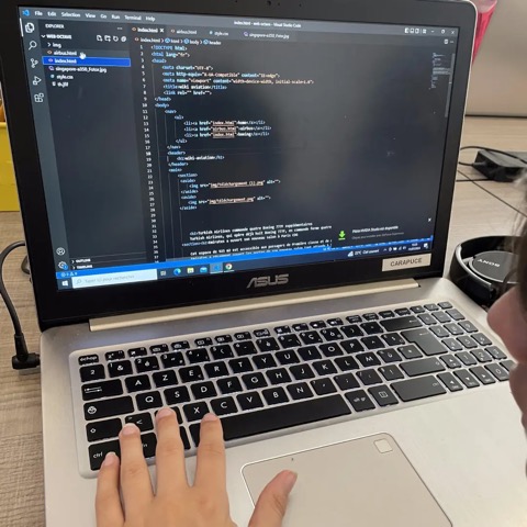 stage création de site web programmation