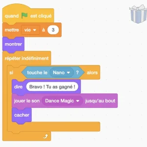 Scratch Blocs de code